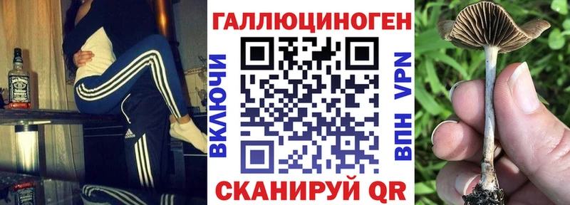 кракен онион  Кировск  Псилоцибиновые грибы прущие грибы 