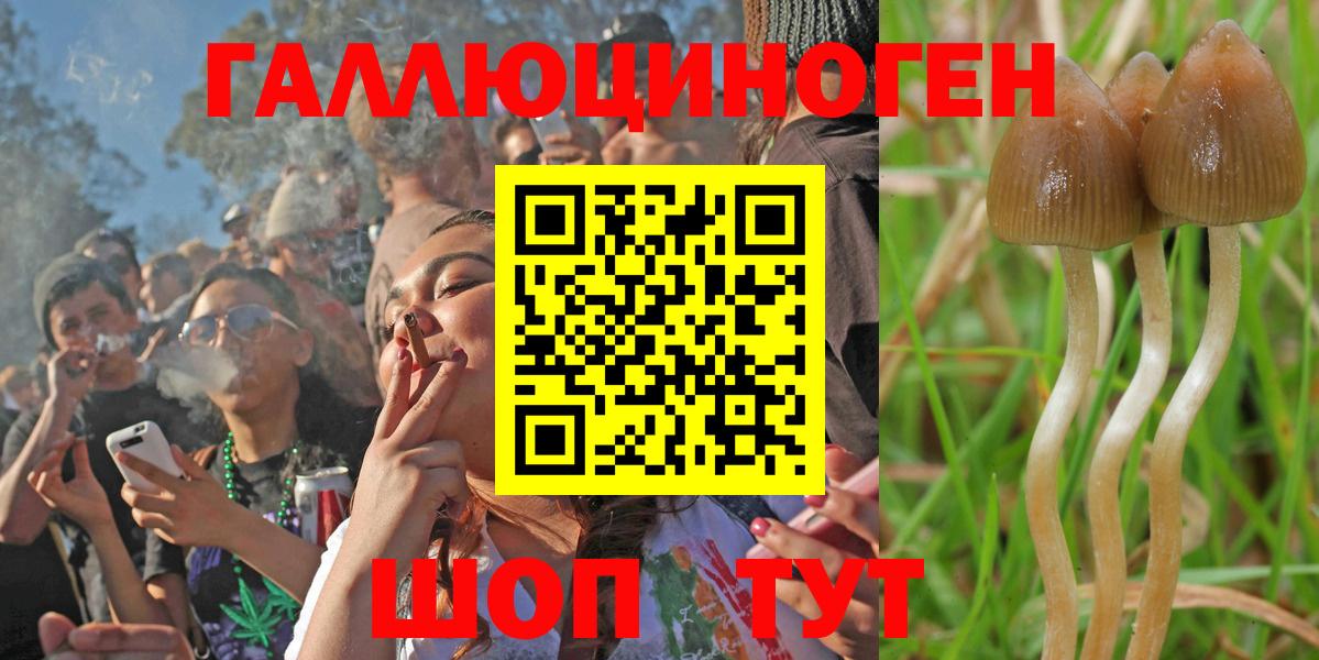 Галлюциногенные грибы GOLDEN TEACHER Кировск