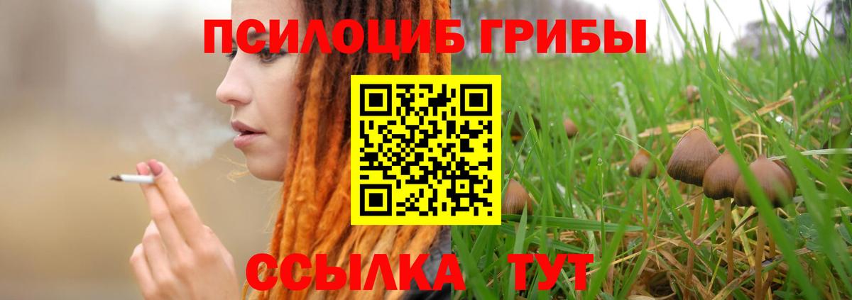 Псилоцибиновые грибы мицелий  Вход с VPN  Кировск  купить наркотик  Галлюциногенные грибы Cubensis 